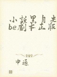 小说黑月光拿稳be剧本正版免费