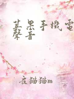 苹果手机电话无声音