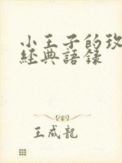 小王子的玫瑰花经典语录