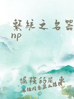 系统之名器攻略np