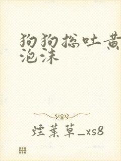 狗狗总吐黄水带泡沫
