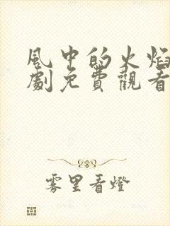 风中的火焰电视剧免费观看高清