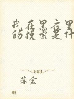 我在黑夜里仔细的摸索是什么歌