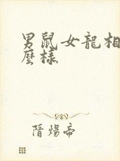 男鼠女龙相配怎么样