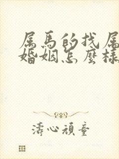 属马的找属马的婚姻怎么样