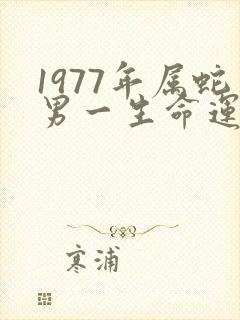 1977年属蛇男一生命运如何