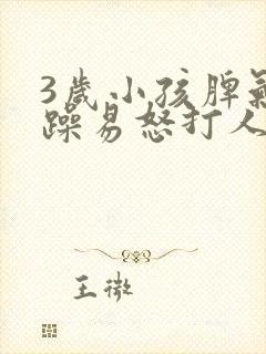 3岁小孩脾气暴躁易怒打人