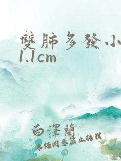 双肺多发小结节1.1cm