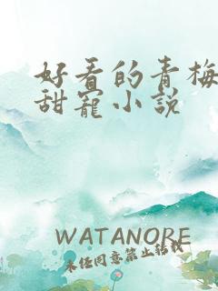 好看的青梅竹马甜宠小说
