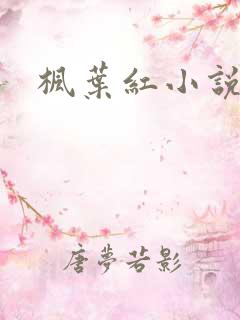 枫叶红小说