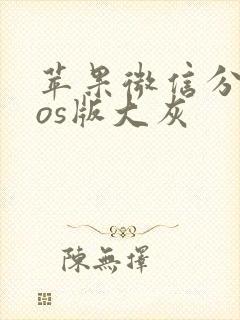 苹果微信分身ios版大灰