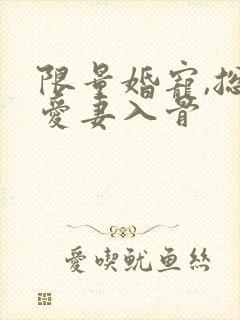 限量婚宠,总裁爱妻入骨