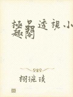 极品透视小说笔趣阁