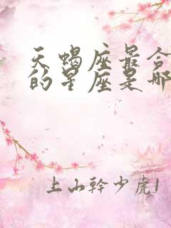 天蝎座最合不来的星座是哪些