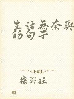 生活无奈与心酸的句子