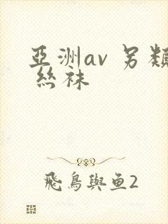 亚洲av 另类 丝袜