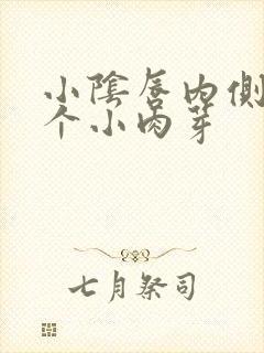 小阴唇内侧有两个小肉芽