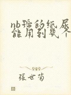 nb号的纸尿裤能用到几个月可以