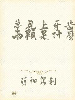 梦见上牙齿掉了两颗是什么征兆女的