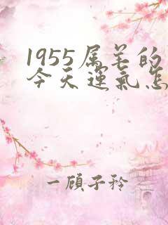 1955属羊的今天运气怎么样