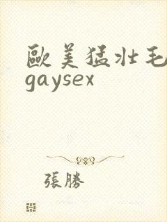 欧美猛壮毛老头gaysex