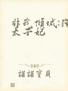 非我倾城:独宠太子妃