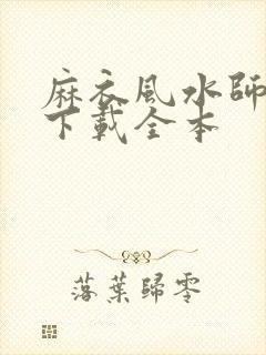 麻衣风水师免费下载全本