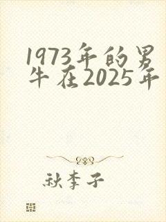 1973年的男牛在2025年的运势怎么样