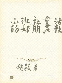 小班社会活动我的好朋友教案