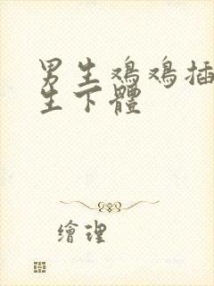 男生鸡鸡插进女生下体