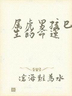 属虎男孩巳时出生的命运