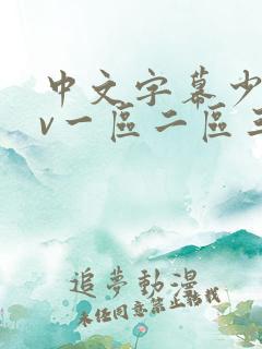 中文字幕少妇av一区二区三区