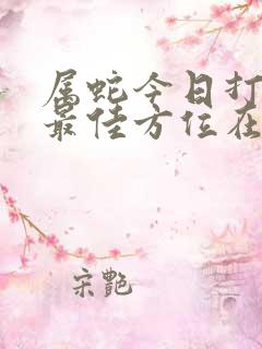 属蛇今日打麻将最佳方位在哪里