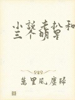 小说老扒和他的三个明星