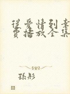 从爱情到幸福免费播放全集高清版电视剧