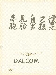 梦见自己怀了双胞胎男孩是什么预兆