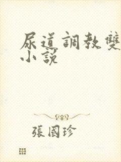 尿道调教双男主小说