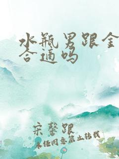 水瓶男跟金牛女合适吗