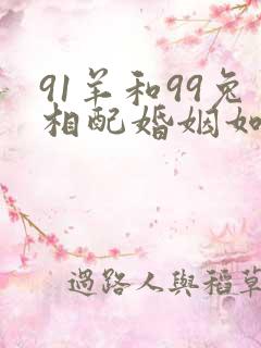 91羊和99兔相配婚姻如何