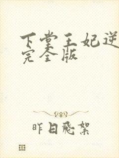 下堂王妃逆袭记完全版