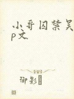 小哥囚禁吴邪cp文