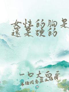 女性的胸是软的还是硬的