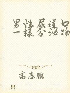 男性尿道口流水一样分泌物