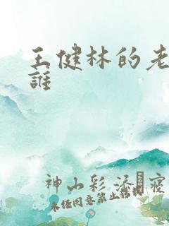 王健林的老婆是谁