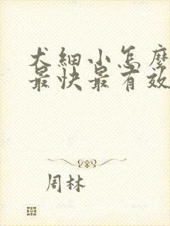 犬细小怎么治疗最快最有效