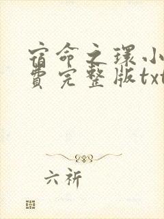 宿命之环小说免费完整版txt下载