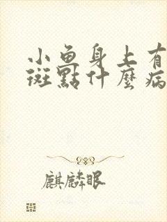 小鱼身上有白色斑点什么病