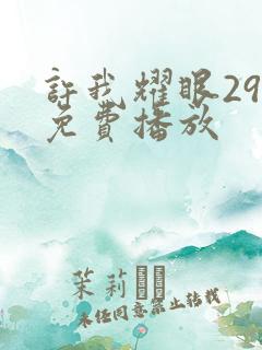 许我耀眼29集免费播放