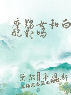 摩羯女和白羊男配对吗