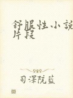 舒服性小说详细片段